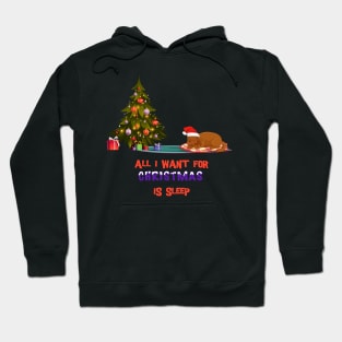 All I want for Christmas is sleep | Funny Hoodie